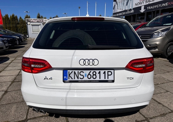 Audi A4 cena 51600 przebieg: 170000, rok produkcji 2015 z Węgrów małe 232